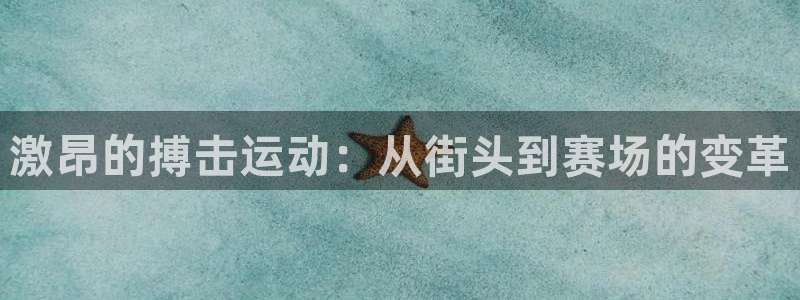 激昂的搏击运动：从街头到赛场的变革
