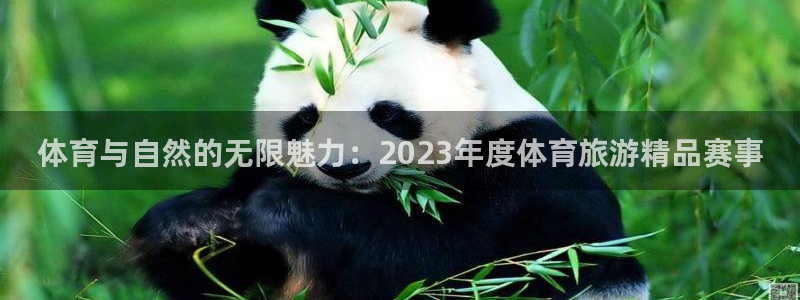 体育与自然的无限魅力：2023年度体育旅游精品赛事