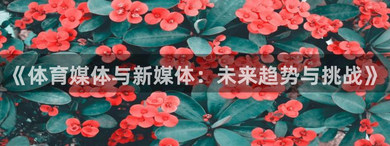 《体育媒体与新媒体：未来趋势与挑战》