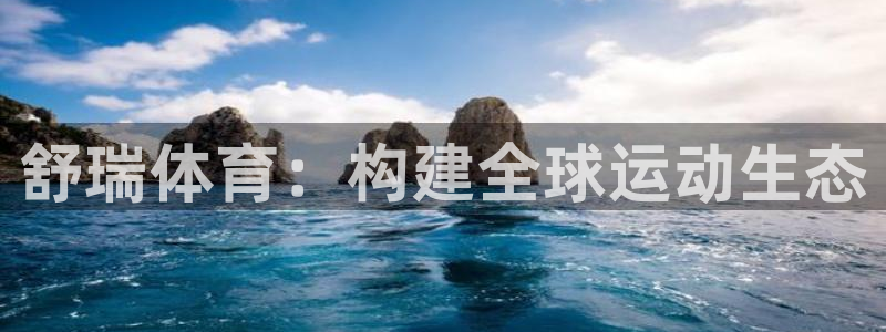 舒瑞体育：构建全球运动生态