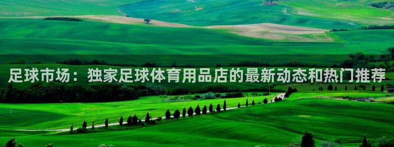 足球市场：独家足球体育用品店的最新动态和