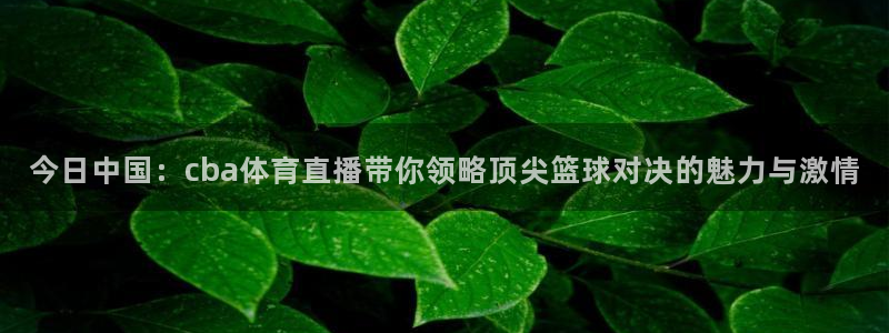 快体育足球篮球五大联赛24小时直播：今日中国：cba体育直播带你领略顶尖篮球对决
