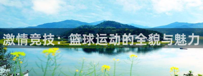 快体育赛事直播软件：激情竞技：篮球运动的全貌与魅力