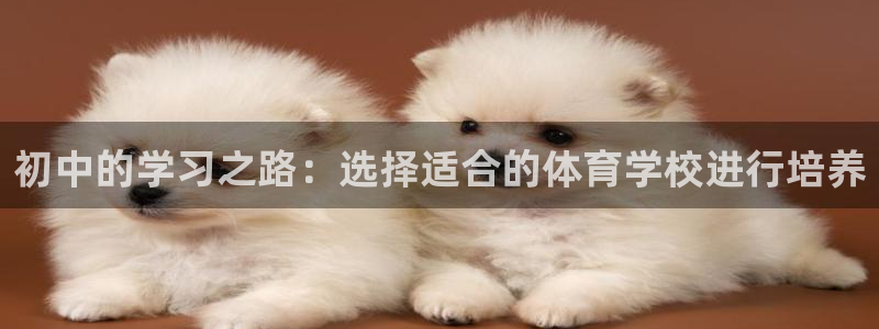 快体育：初中的学习之路：选择适合的体育学校进行培养