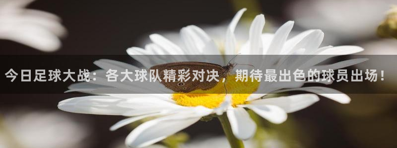 快体育五大联赛：今日足球大战：各大球队精彩对决，期待最出色的球员出场！