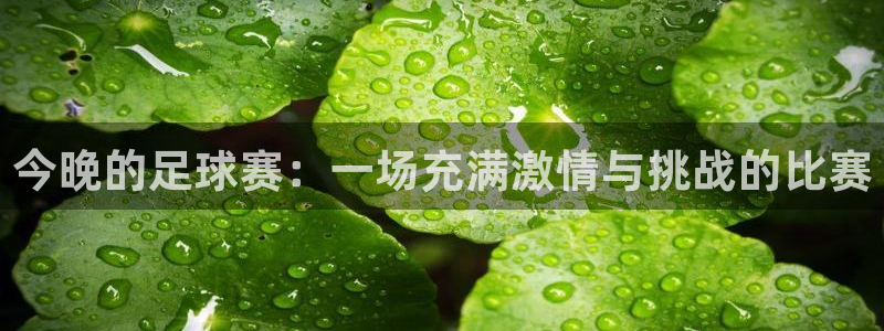 快体育冠希直播在哪里看：今晚的足球赛：一场充满激情与挑战的比赛