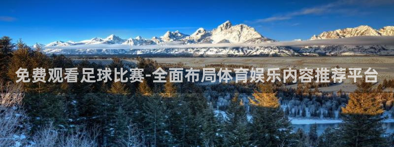 快体育nba：免费观看足球比赛-全面布局体育娱乐内容推荐平台